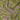 prev - REVOLT JUNGLE BANDANA - FIONA