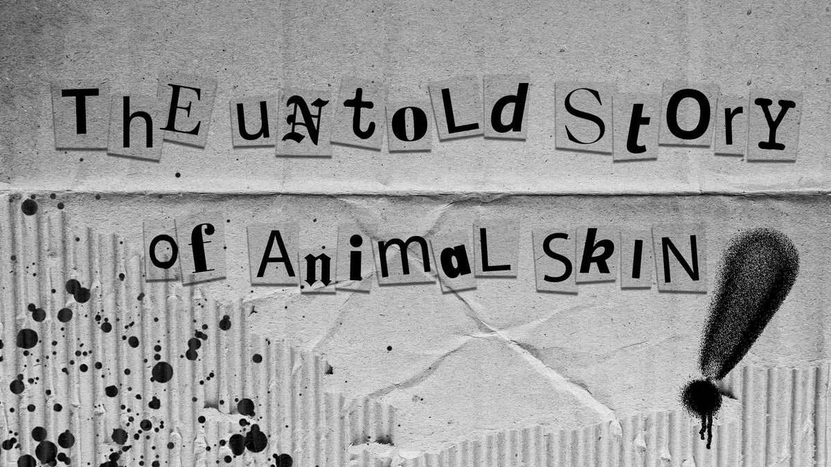 THE UNTOLD STORY OF ANIMAL SKIN – Prev