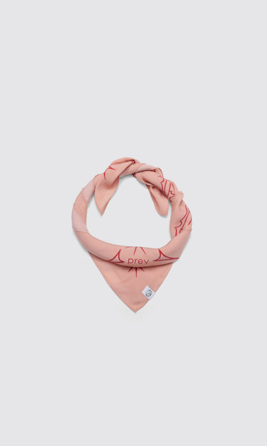 prev--MERCY SCARF / BANDANA - ROSY